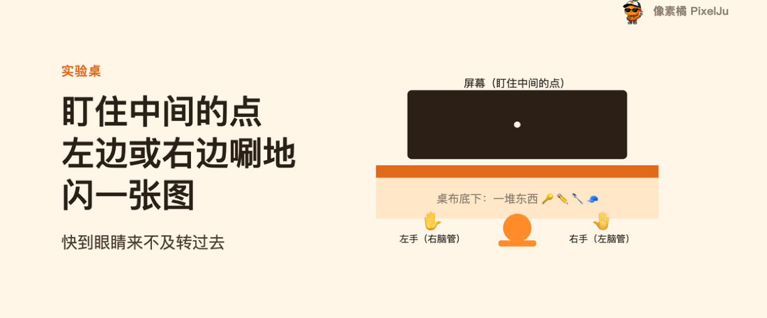 实验桌：屏幕 + 桌布下的物品