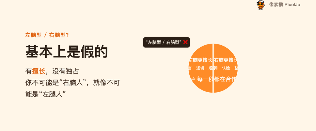 左脑型 / 右脑型？基本上是假的