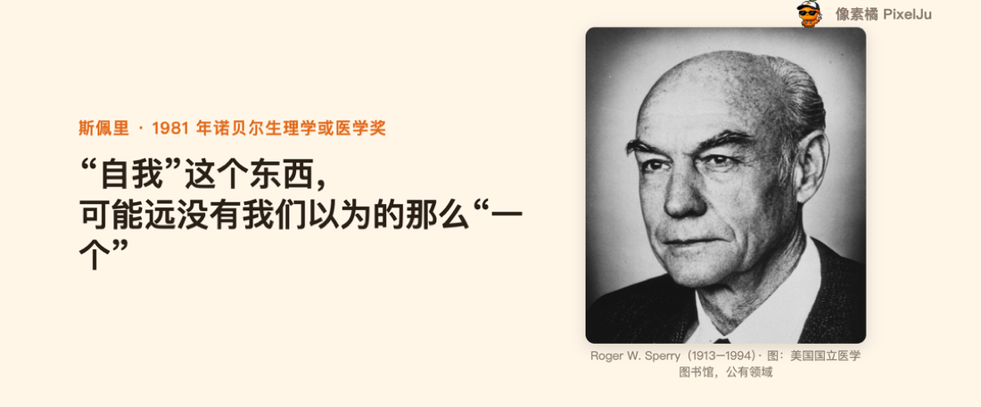罗杰·斯佩里（1913–1994）