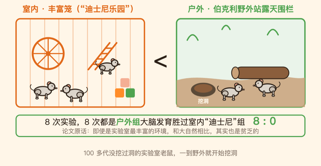 野地对玩具笼：8 比 0