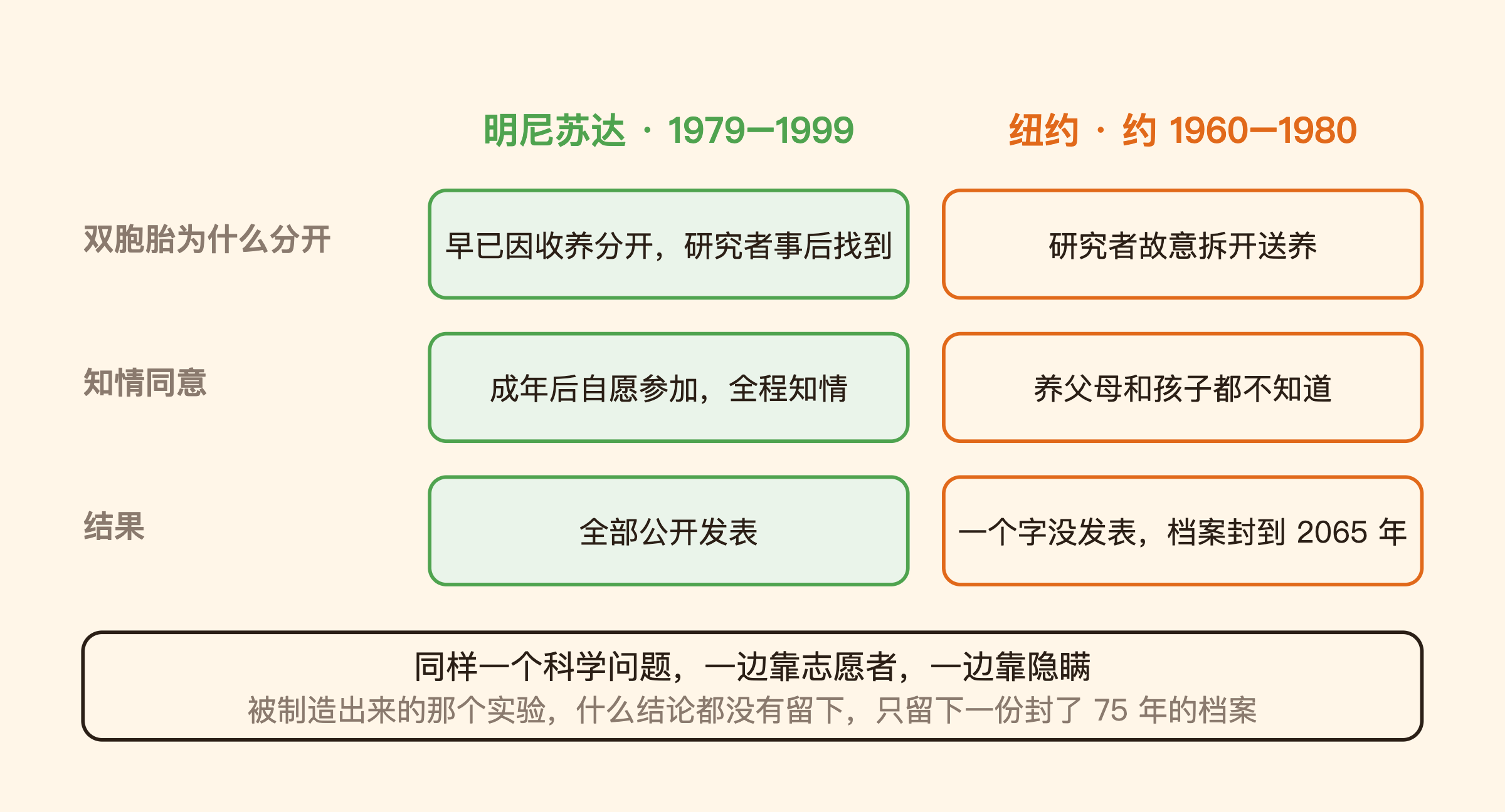 明尼苏达 vs 纽约：两种做法