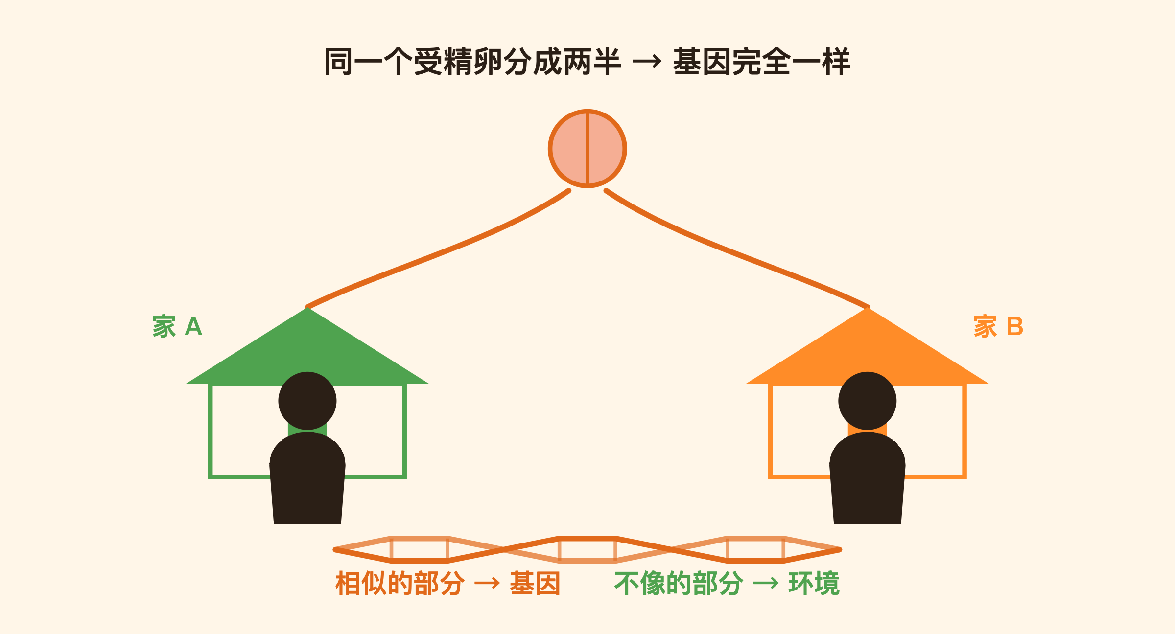 分开养育双胞胎研究的设计