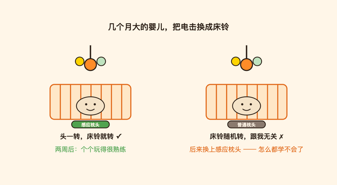 婴儿床铃实验:转头能让床铃动的那组,学会了;随机组学不会